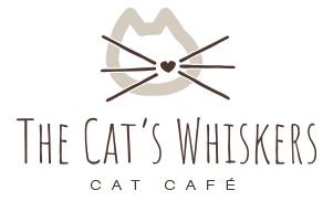 The Cats Whiskers York Coupons